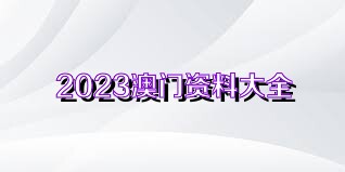 新澳2025正版资料大全|全面释义解释落实,新澳2025正版资料大全的全面释义与落实策略