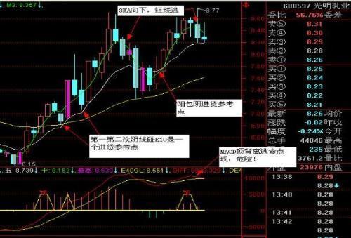 管家精准一码一肖|实用释义解释落实,管家精准一码一肖，实用释义、解释与落实